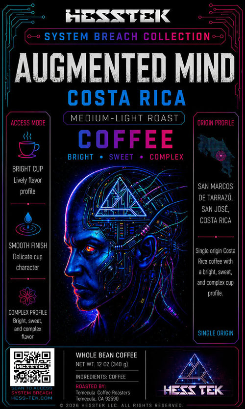 Augmented Mind